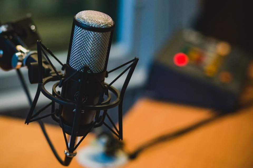 A studio microphone on a shock mount
